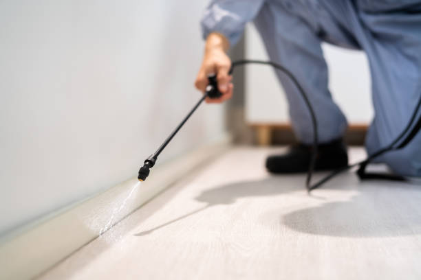 Licensed Cockroach Control service in Princeton, MN - Nex Pest Control