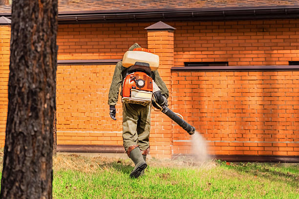 Trusted Rodent Control service in Princeton, MN - Nex Pest Control